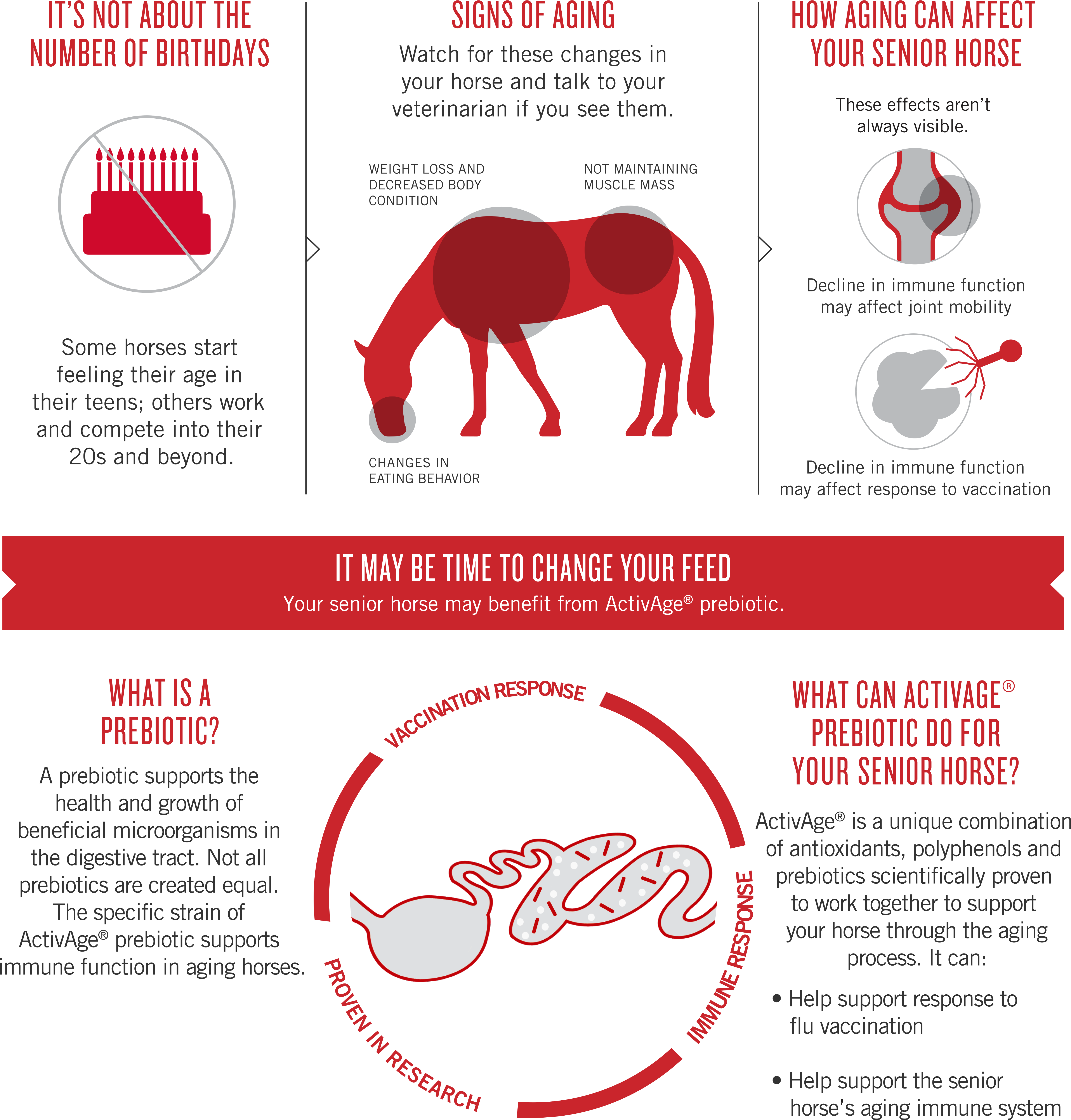 Try Activeage Prebiotic - Stallion (4989x5151), Png Download