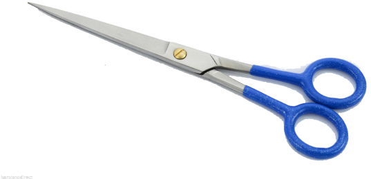 Scissors (570x760), Png Download