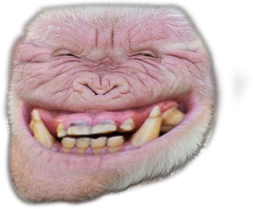 Albino Troll - Cat Yawns (987x700), Png Download