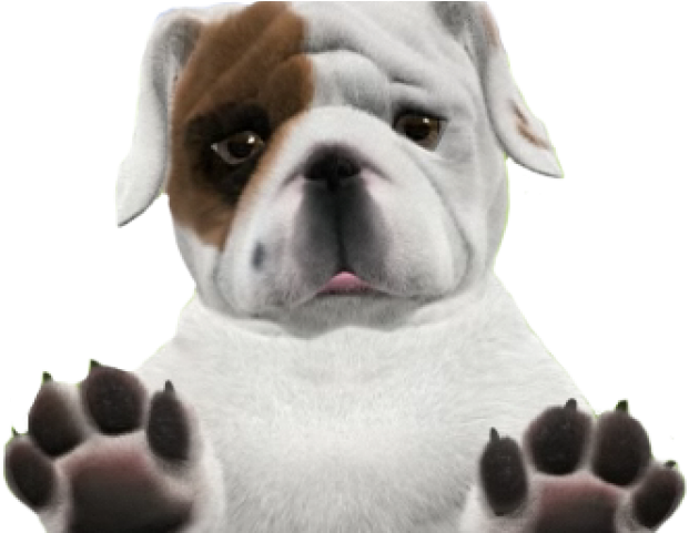 Bulldog Png Transparent Images - Huawei (640x480), Png Download