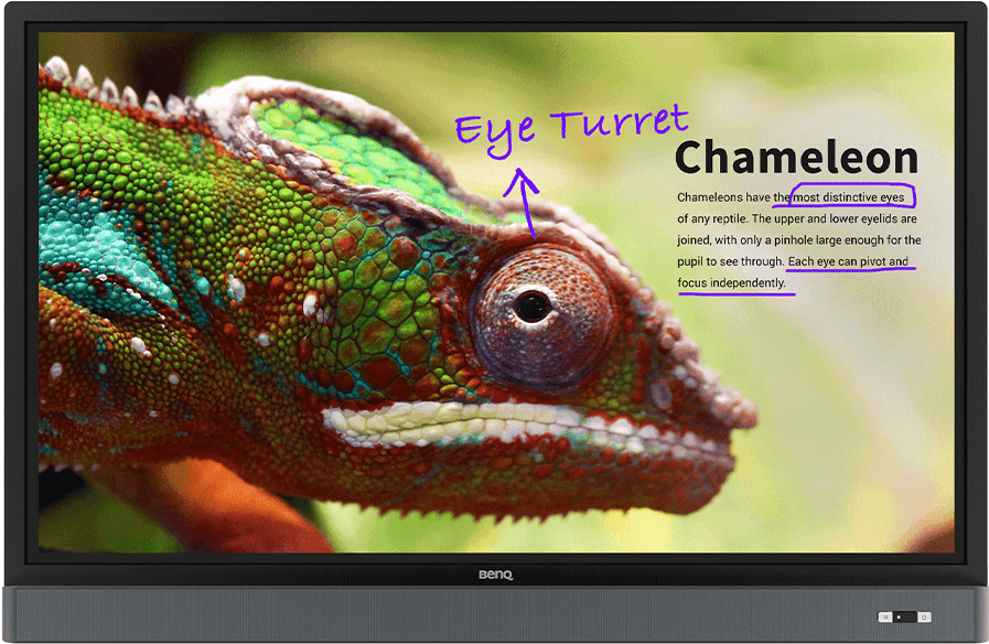 Rm5501k 55" Education Interactive Flat Panel - Benq Rm5501k (1000x1000), Png Download
