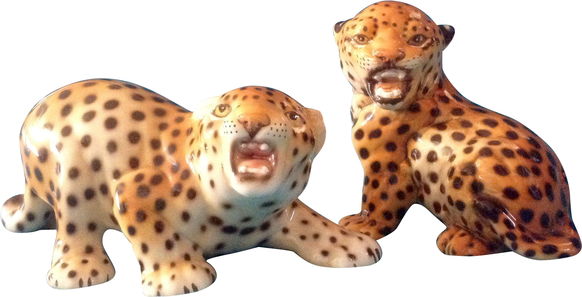 Leopard (1869x1869), Png Download
