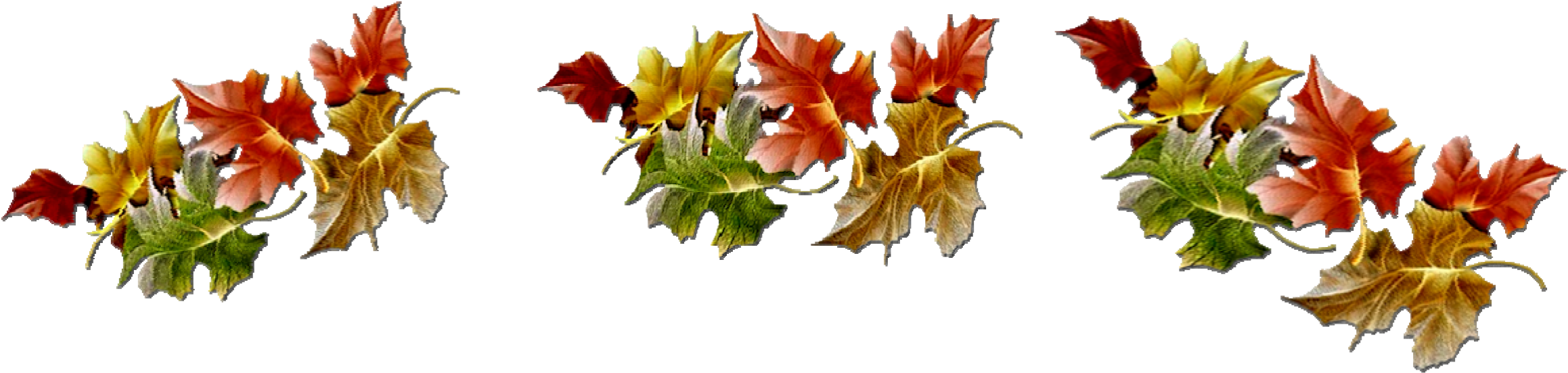 Enjoy An All Organic Thanksgiving Meal This Year - Fall Divider (2326x599), Png Download