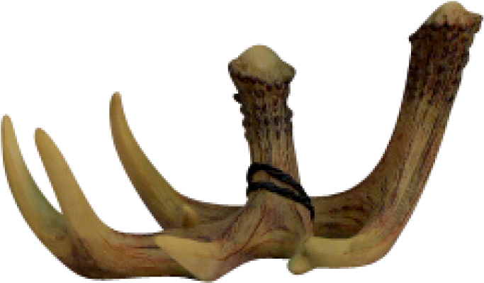 More Views - Driftwood (800x800), Png Download