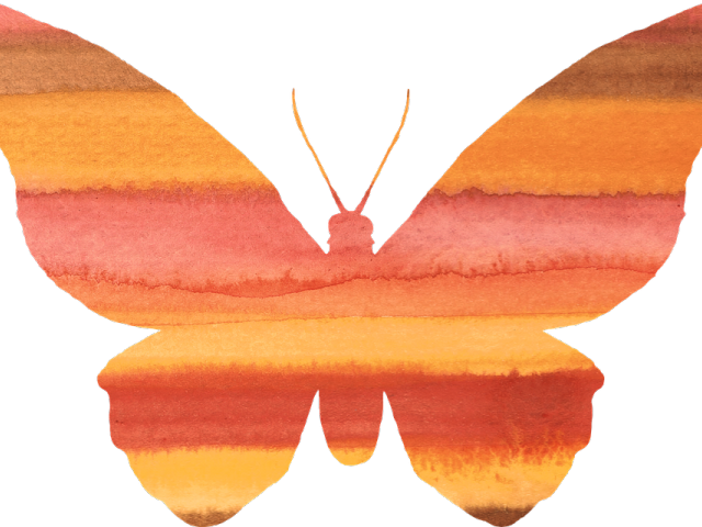 Butterfly Cliparts Silhouette - Clip Art (640x480), Png Download