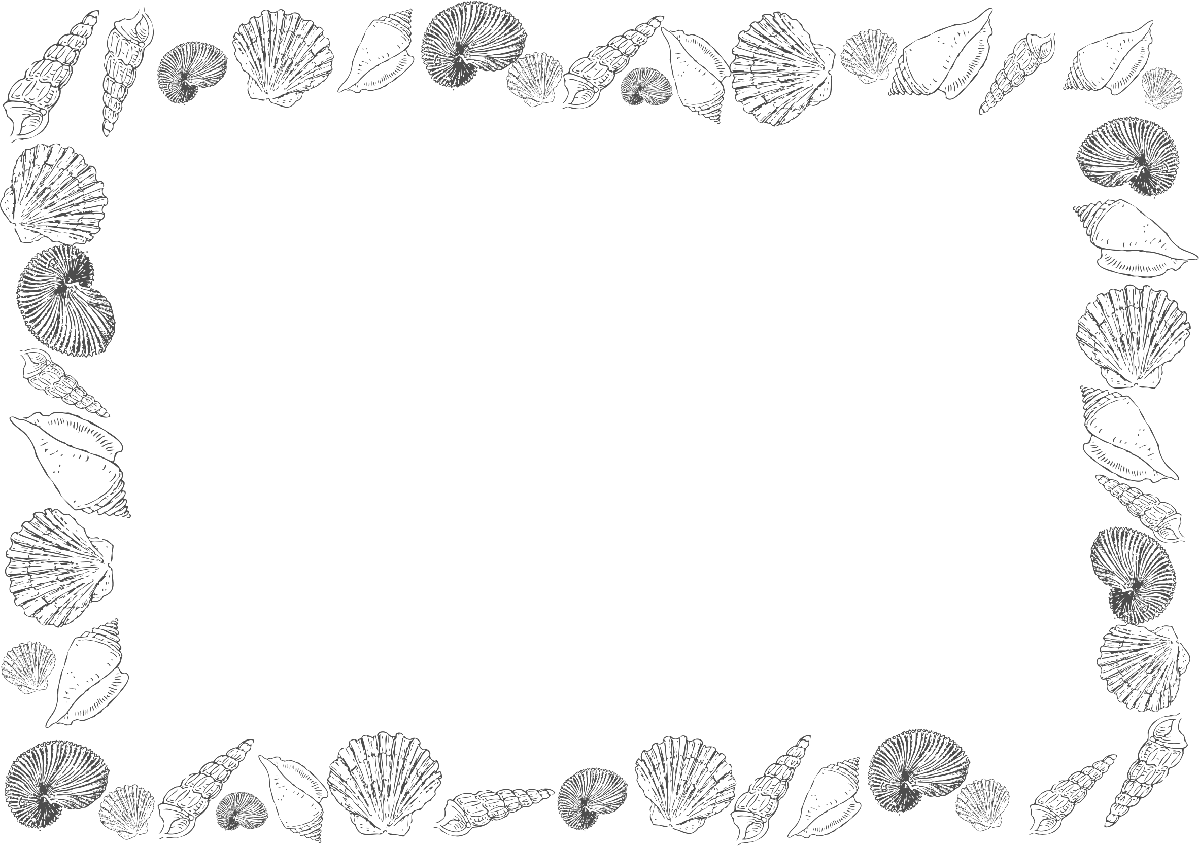 Seashell Frame Black And White (2363x1668), Png Download