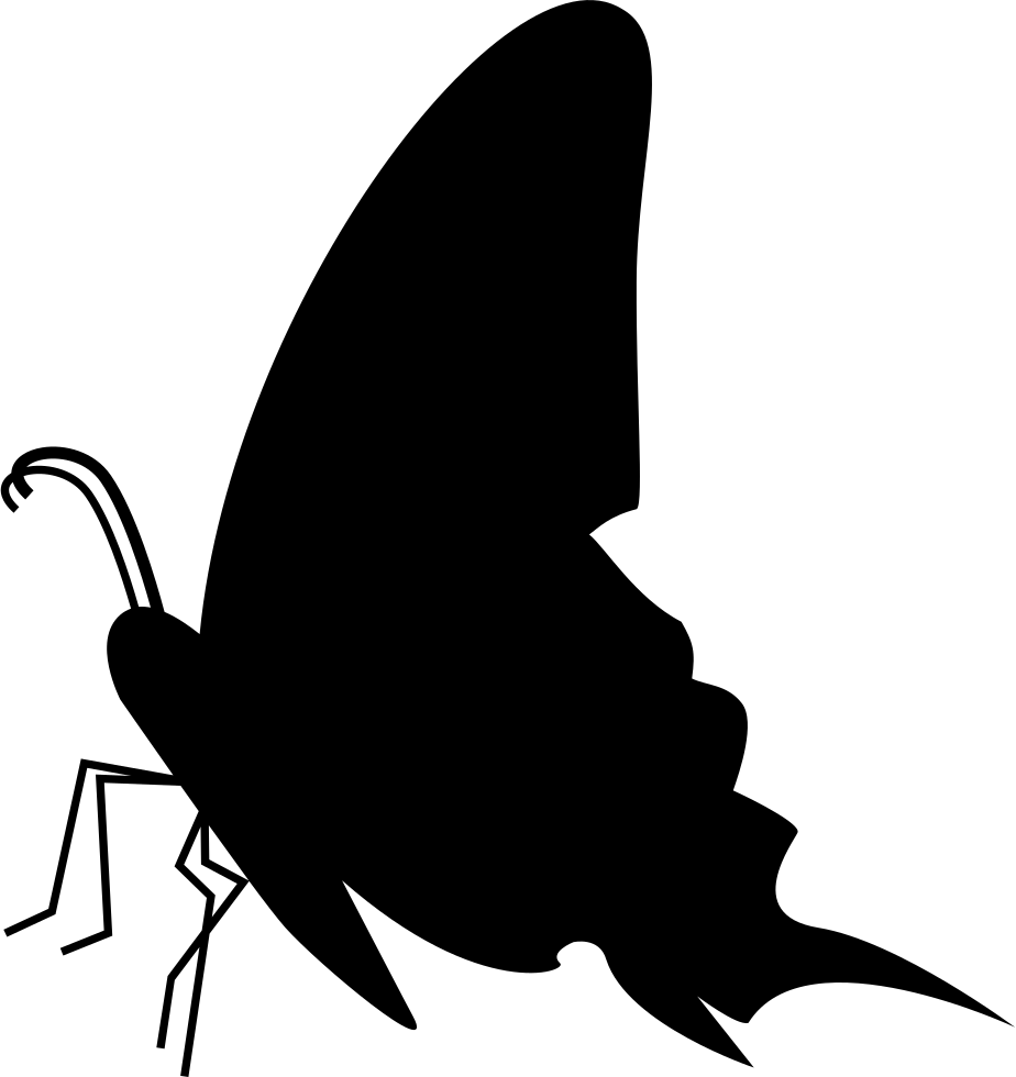 Butterfly Black Side View Silhouette Comments (924x980), Png Download