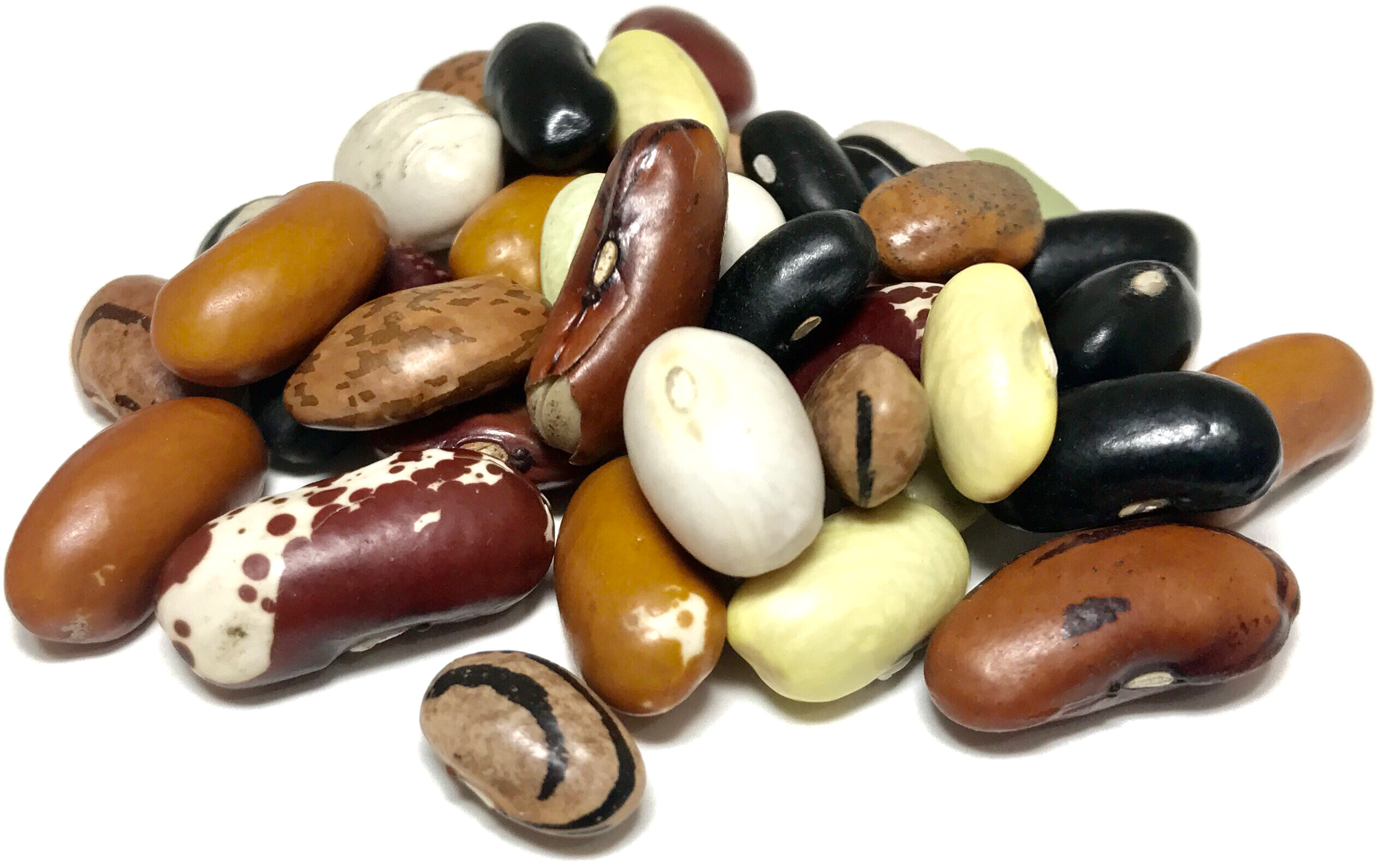 download shady side farm dry beans full size png image pngkit download shady side farm dry beans