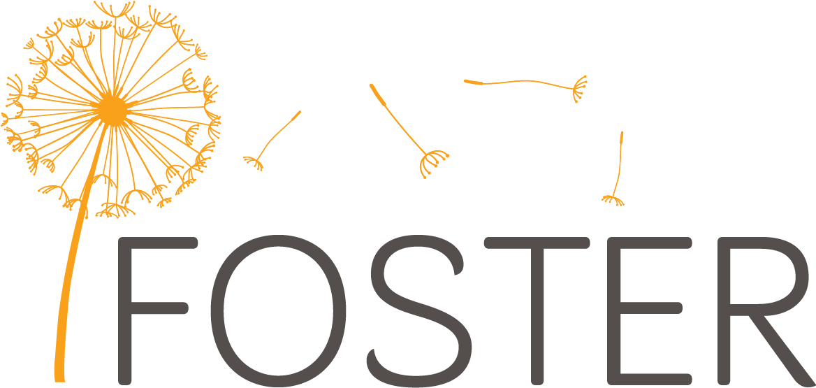 10 Apr - Foster Care (1167x622), Png Download