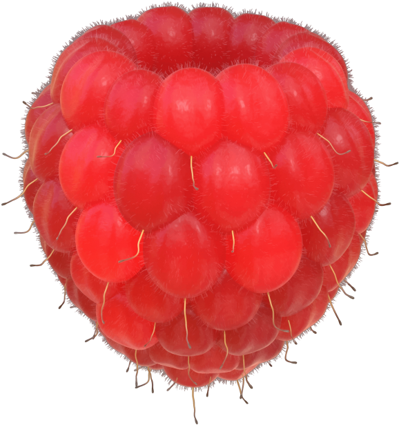 Raspberries - Wine Raspberry (866x650), Png Download