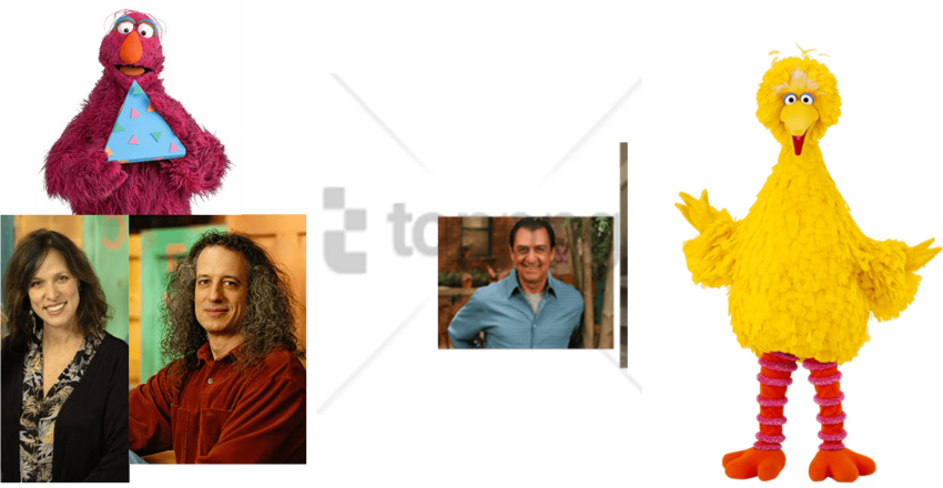 Free Png Big Bird Is Back Png Image With Transparent - Big Bird Is Back (850x440), Png Download