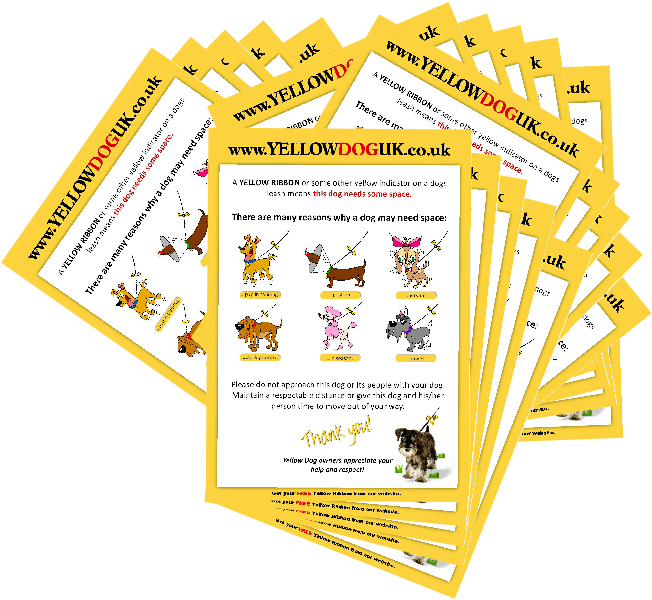 500 A5 - Graphic Design (785x788), Png Download