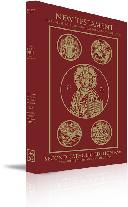 New Testament - Paperback - Catholic Bible Ignatius Press (500x714), Png Download