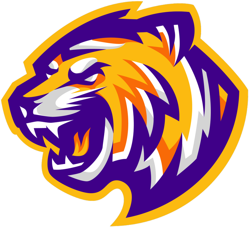 Esports Lsu - Lsu Esports (1200x800), Png Download