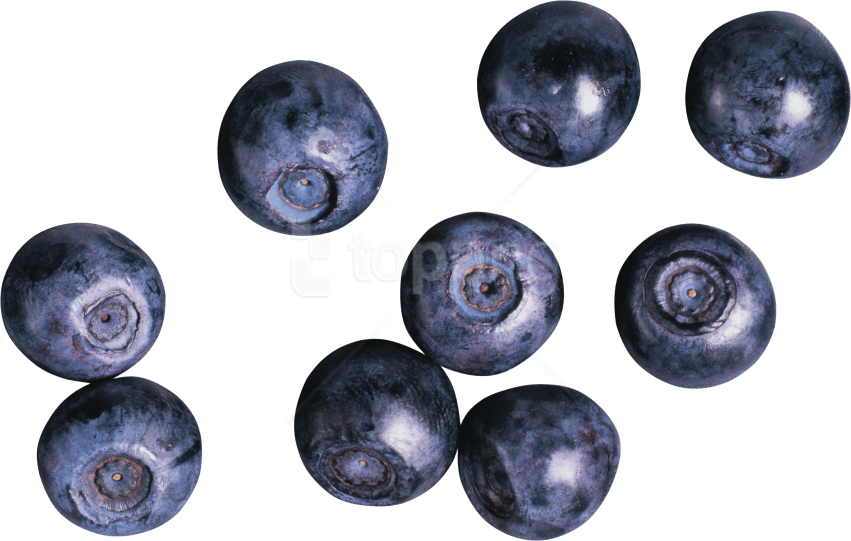 Free Png Blueberries Png Images Transparent - Ягоды Пнг (851x541), Png Download