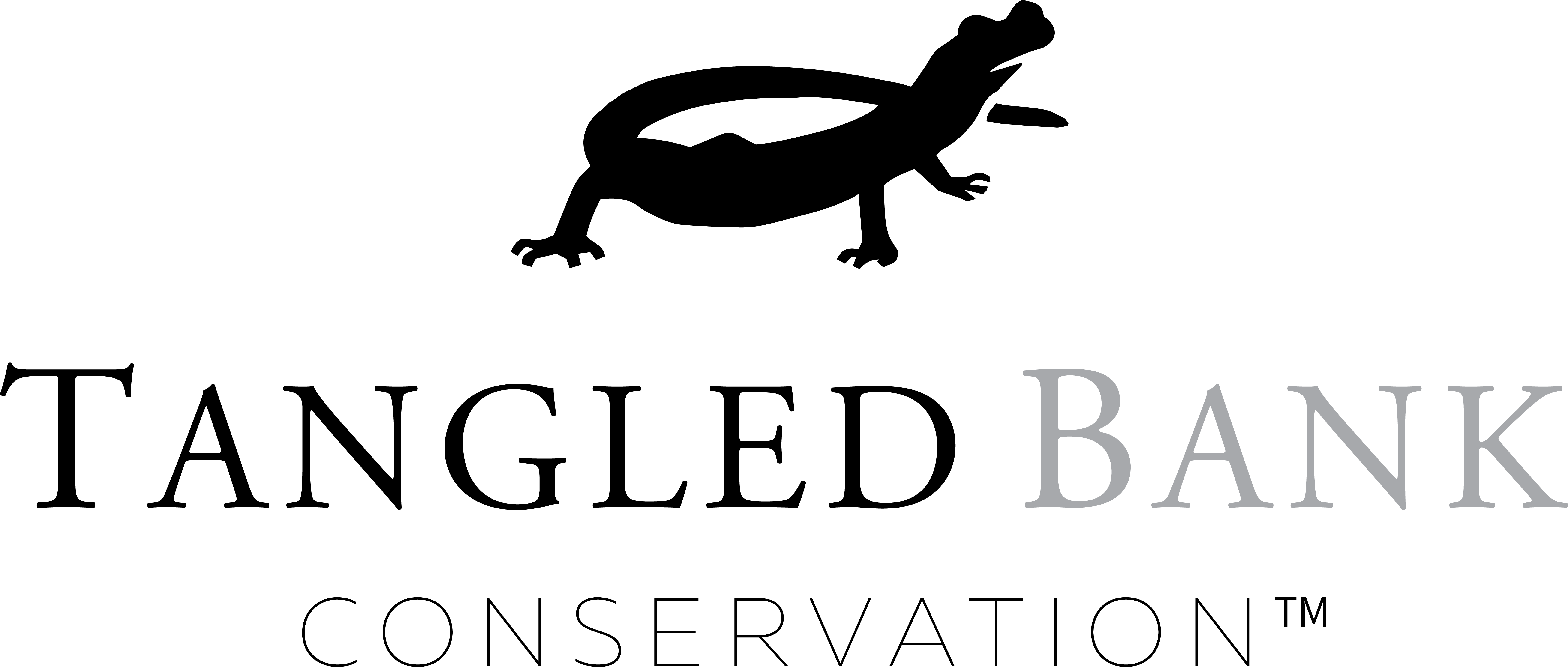 Tangled Bank Conservation - Dragon Lizard (6794x2891), Png Download