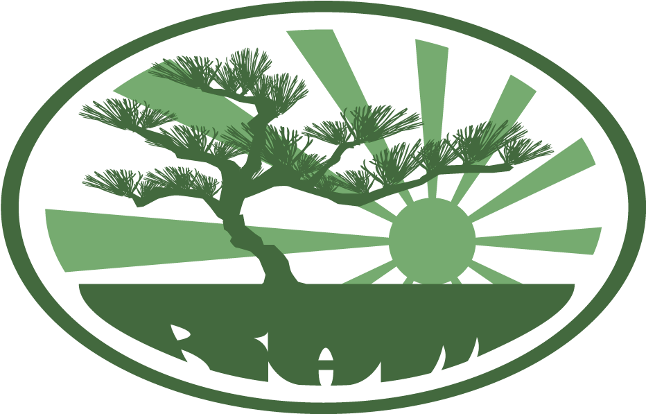 Reviveallmusic - Com - Azad Jammu And Kashmir Logo (1000x674), Png Download