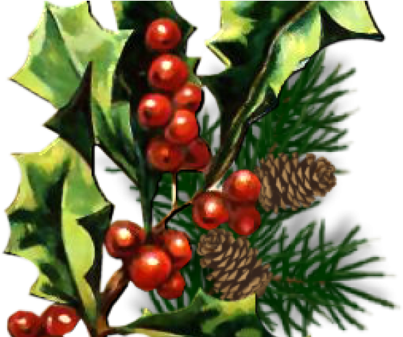Christmas Holly Graphics - Christmas Tree (640x480), Png Download