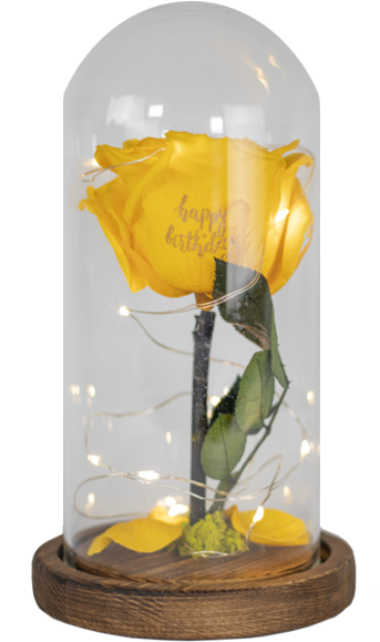 Preserved Rose W/led Lights - Rose (523x600), Png Download