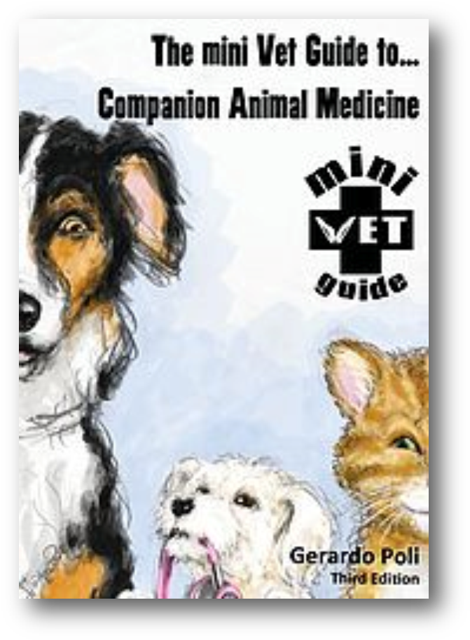 Find Out More About The Minivet Guide To Companion (886x924), Png Download