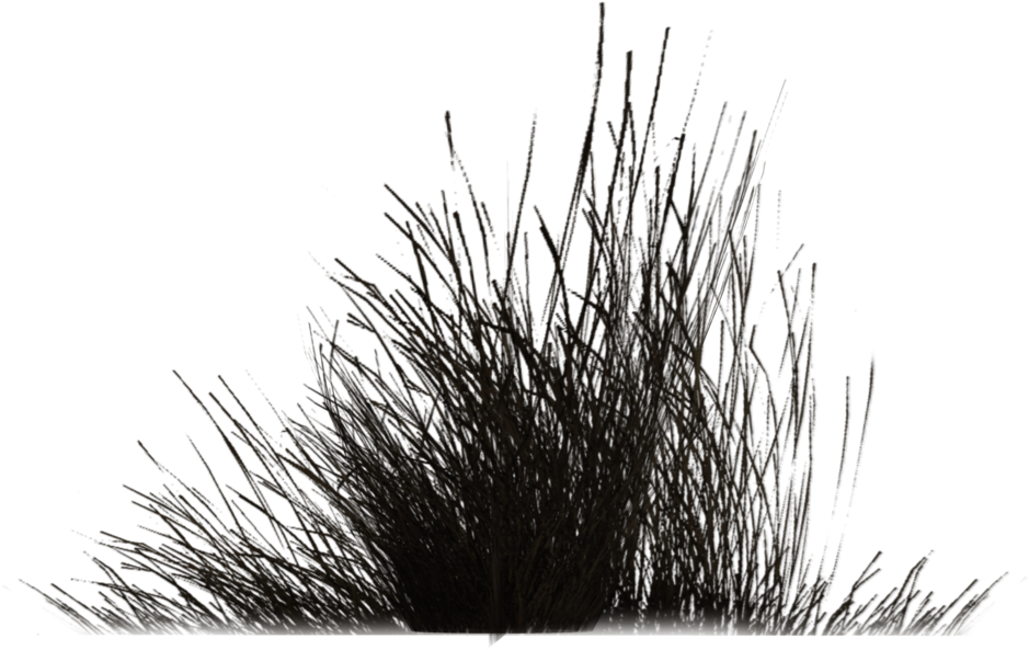 Go To Image - Grass (1024x639), Png Download