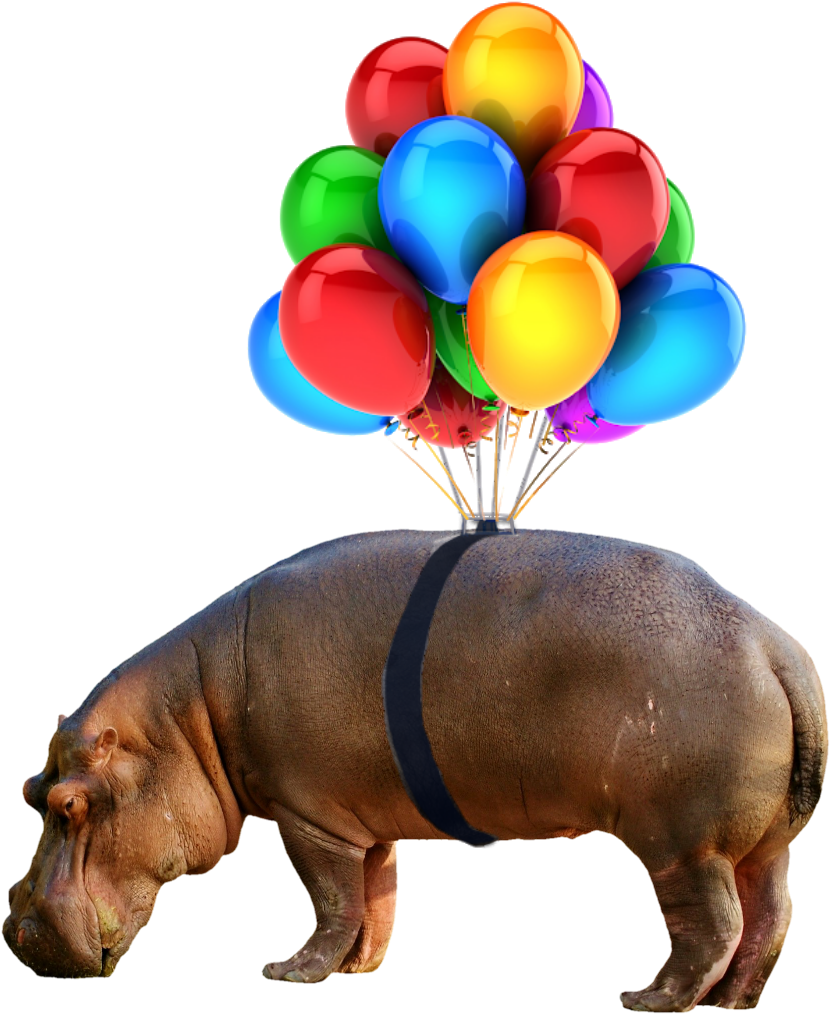 #hippo #nobackground #png #balloon - Balloons No Background Png (1024x1024), Png Download