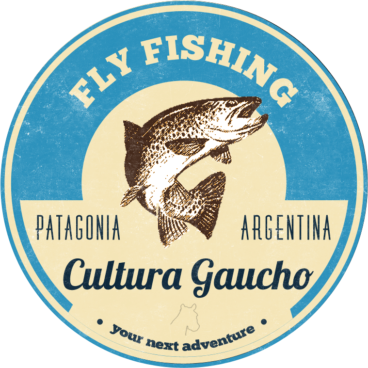 Fly Fishing In Pagagonia Argentina - Patagonia Fishing Logos With Fly (1024x768), Png Download