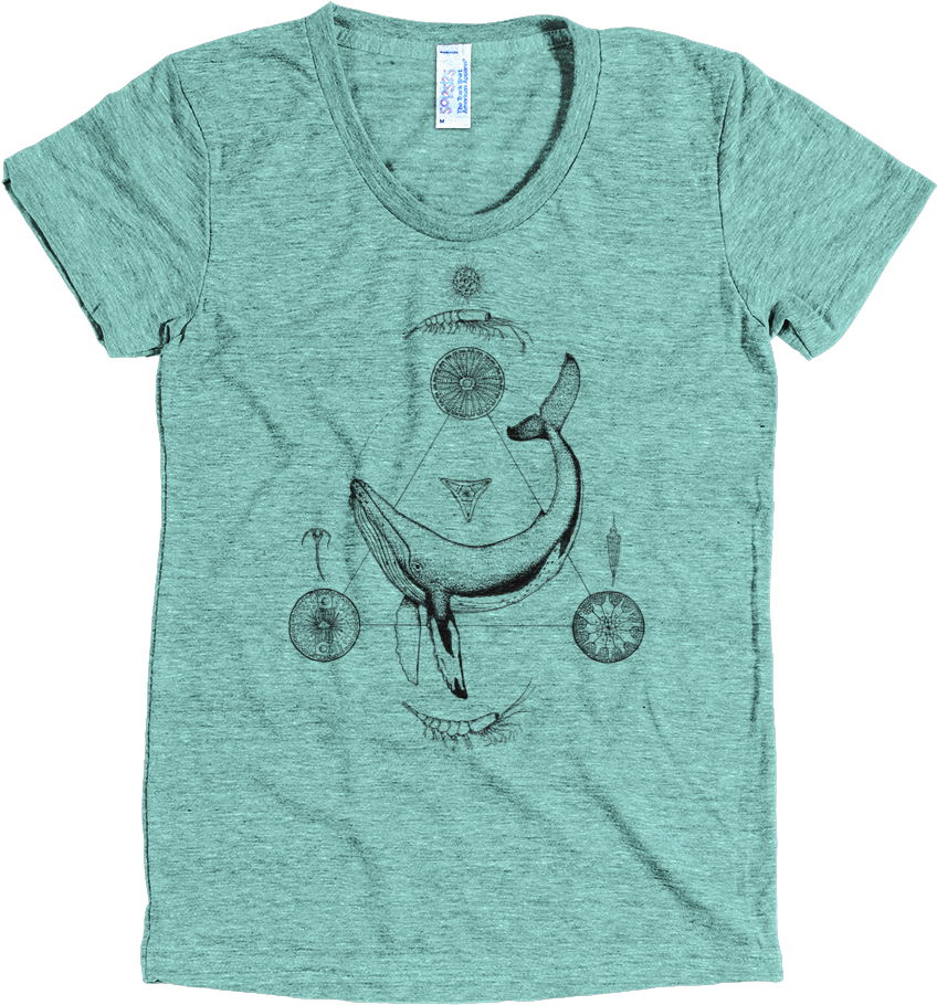 Whale Krill Transparent Mockup Front Wrinkled Tri Lemon - My First Rodeo Shirt (1000x1000), Png Download