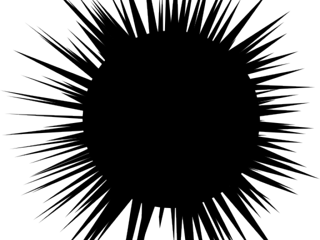 Sea Urchin Clipart Sea Plankton - Ouriço Do Mar Png (640x480), Png Download