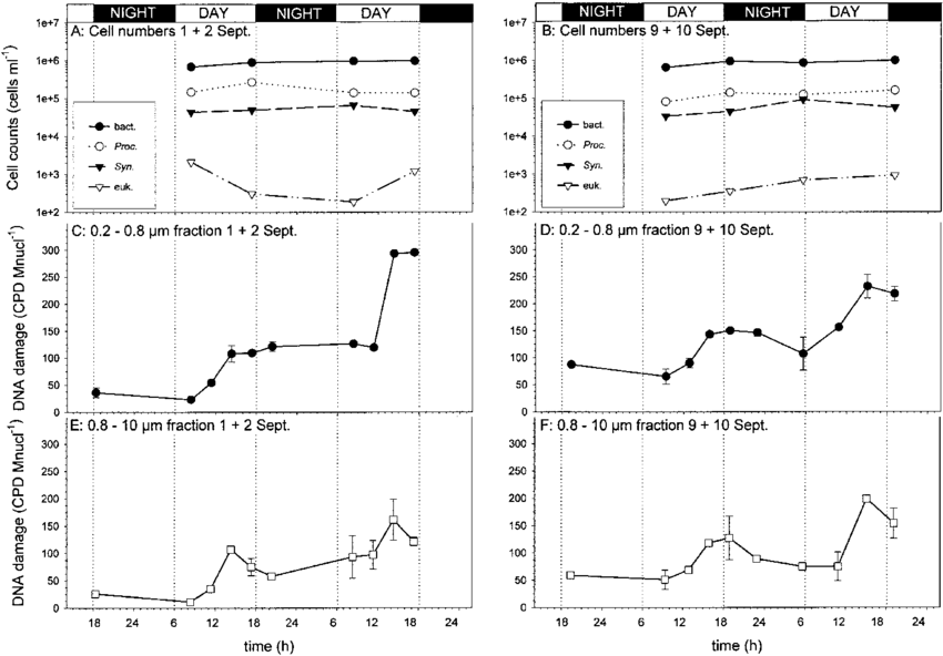 Cell Numbers Of 4 Plankton Groups (non Phototrophic - Diagram (850x592), Png Download