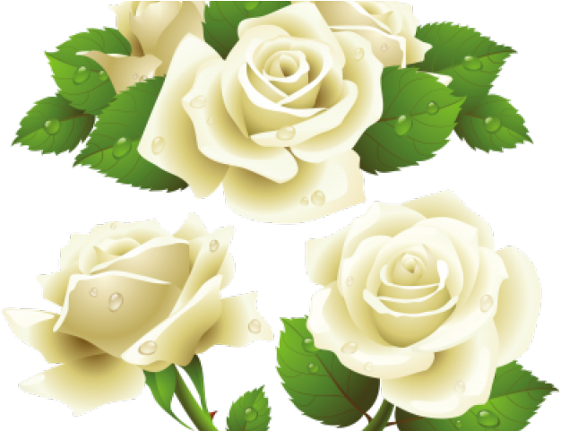 White Rose Clipart Bunch - Rose Vector Free Download (640x480), Png Download
