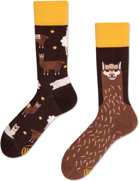 Fluffy Alpaca - Many Mornings Alpaka (600x750), Png Download