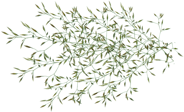 Garden (640x383), Png Download