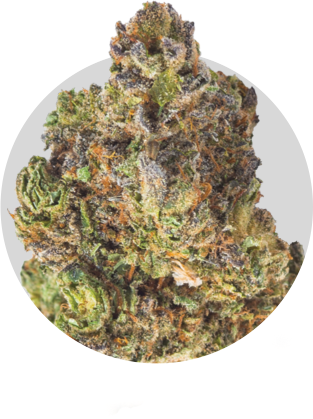 Strains - Yellow Fir (875x875), Png Download