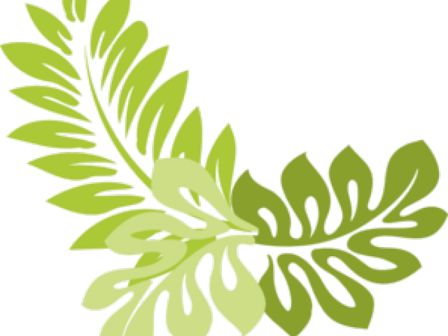 Tropical Palm Leaves And Hibiscus Wedding Invite | (640x480), Png Download