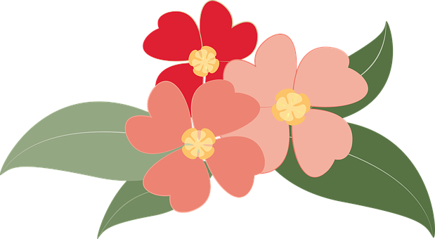Flowers Plants Red Botany Nature Plants Fl - Thank You For The Gift Of Flowers Card (619x340), Png Download