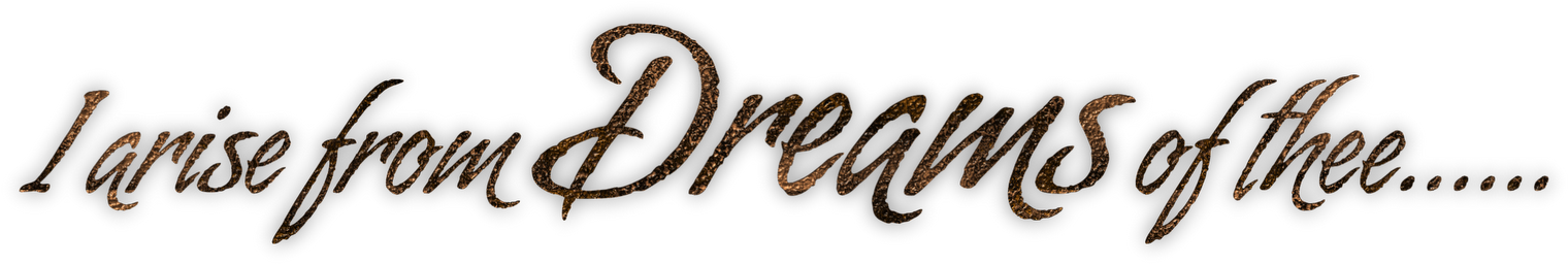 Love Word Art Png - Animal Charity (1600x368), Png Download