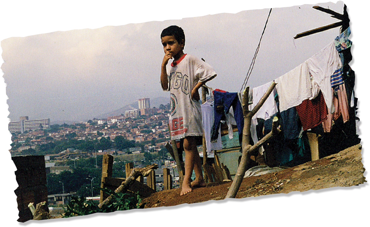 Almost At The Top Of The Garbage Heap, I Saw This Boy - Roof (1185x734), Png Download