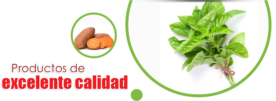 Vegetable (960x400), Png Download