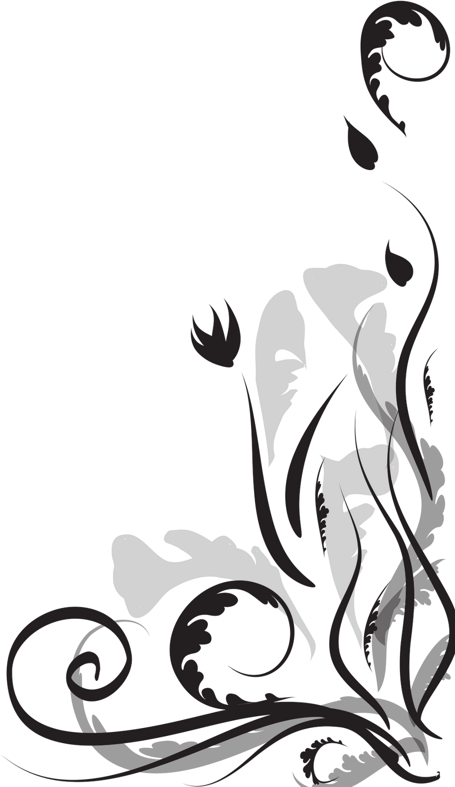 Convite Arabescos Png (1600x1600), Png Download