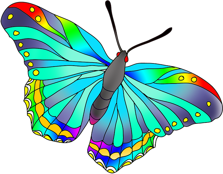 As The Butterflies The Colors Are Not Totally Realistic, - Colorful Butterfly No Background (709x554), Png Download