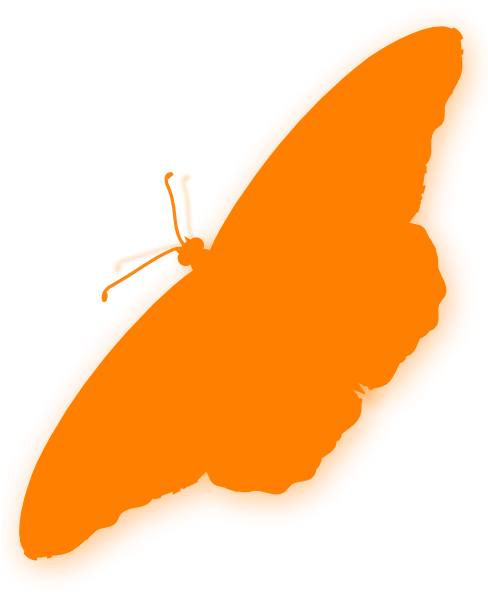 Butterfly Silhouette Orange (488x597), Png Download