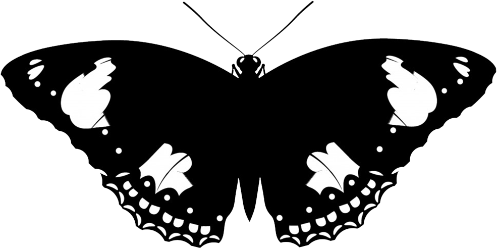 Animal Silhouette, Silhouette Clip Art Butterfly - Clear Silhouettes Of Animals (1004x527), Png Download