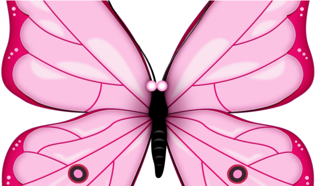 Best Free Butterfly Colorful Images See Here - Transparent Background Butterfly Clipart (678x381), Png Download