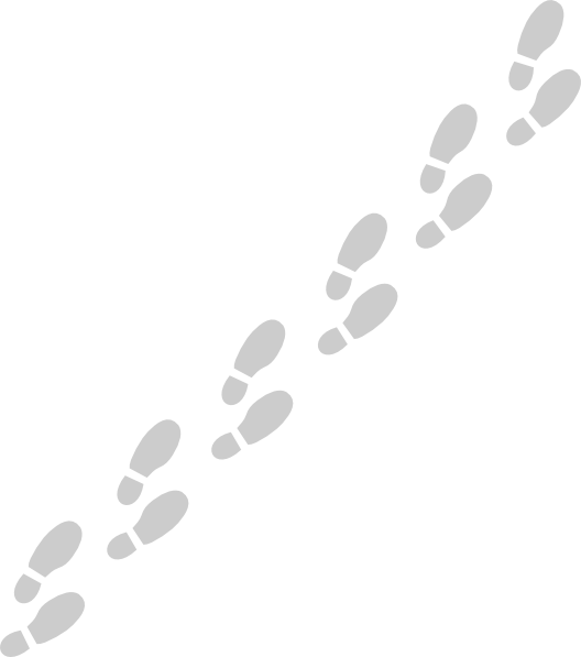Shoe Prints Trail Png (528x597), Png Download