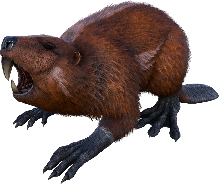 Castoroides - Beaver In Ark (400x337), Png Download