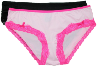 Png Library Stock Women S Underwear Briefs Bikinis - Wemens Punderwear Png (480x288), Png Download