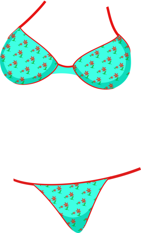Swimsuit Bikini Panties Clothing Trunks (455x749), Png Download