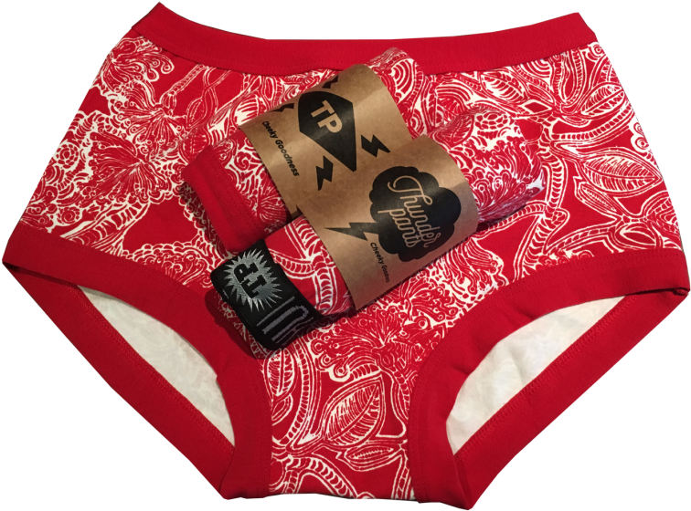 Matching Undies To Artwork For New Zealand's Native - New Zealand Christmas Tree (800x626), Png Download