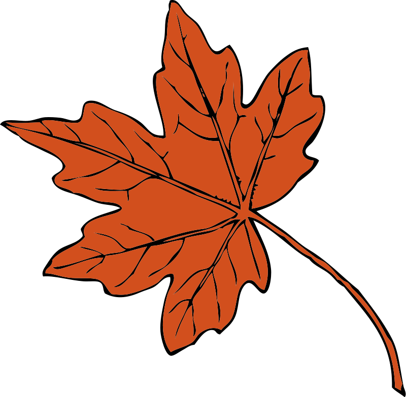Fall Leaf Clip Art - Fall Leaves Clip Art (600x585), Png Download